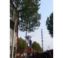 内蒙古亚新隆顺特钢有限公司一期竖炉烘干润磨造球除尘系统项目